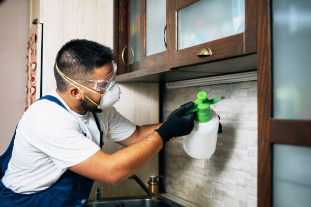 Best Best Pest Control Companies  in Westhaven Moonstone, CA