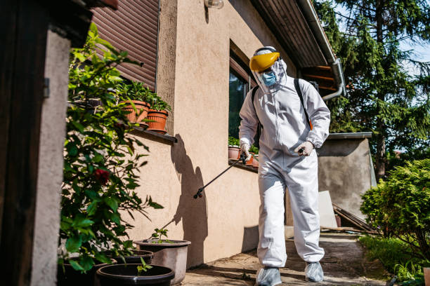 Best Affordable Pest Control Services  in Westhaven Moonstone, CA