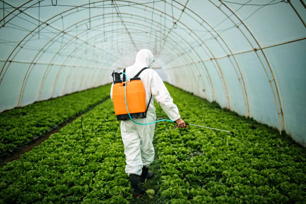 Best Pest Control Near Me  in Westhaven Moonstone, CA