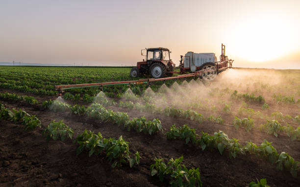 Best Pest Control for Businesses  in Westhaven Moonstone, CA