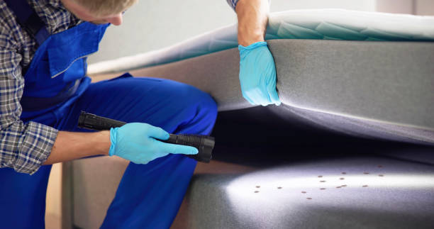 Best Rat Extermination Near Me  in Westhaven Moonstone, CA