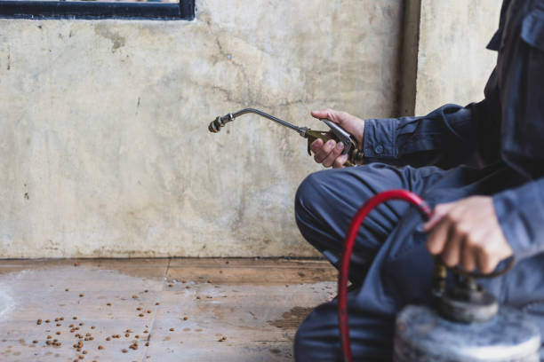 Best Pest Inspection Near Me  in Westhaven Moonstone, CA